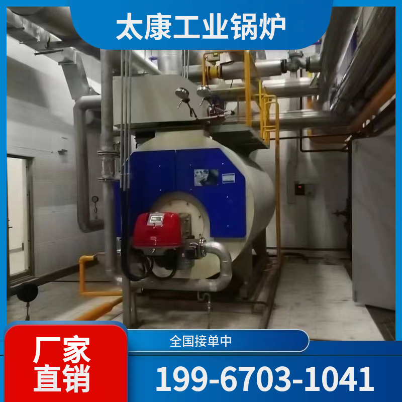 广元生物质蒸汽锅炉