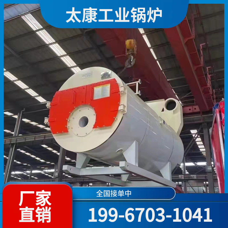 广元沼气锅炉